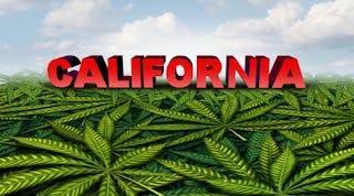 Cracking the code on California cannabis law is complex and won&rsquo;t get easier any time soon.