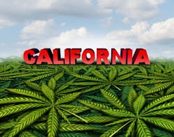 Cracking the code on California cannabis law is complex and won’t get easier any time soon. Cracking the code on California cannabis law is complex and won’t get easier any time soon.
