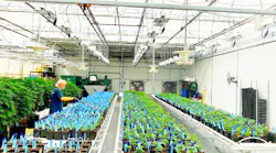 To date, the Missouri Department of Health has awarded 192 licenses for medical marijuana dispensaries, 60 cultivation licenses, and 86 manufacturing licenses.
