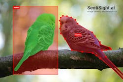 SentiSight.ai is a web-based platform that can be used for image labeling and for developing AI-based image recognition applications.