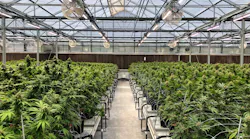 Today's greenhouse growing almost always includes an automated light deprivation system. Integrators should specify IR cameras in growhouses to minimize light pollution and accommodate this growing method.