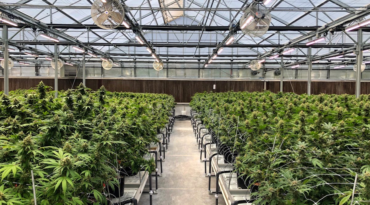 Today&apos;s greenhouse growing almost always includes an automated light deprivation system. Integrators should specify IR cameras in growhouses to minimize light pollution and accommodate this growing method.