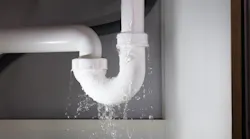 Integrators hoping to provide comprehensive smart home and business protection could with specialty water monitoring systems, popular at CES