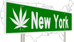 After years of unsuccessful attempts and stalled campaigns, New York has officially legalized recreational marijuana.