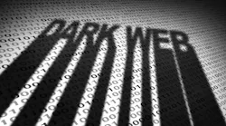 While organizations are beginning to secure their perimeter and remote-working environments, the cyber risk postures of the third- and ‘nth’ party vendors remain vague.