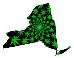 New York's legalization of cannabis may signal the proverbial opening of the floodgates for security projects coast to coast New York's legalization of cannabis may signal the proverbial opening of the floodgates for security projects coast to coast