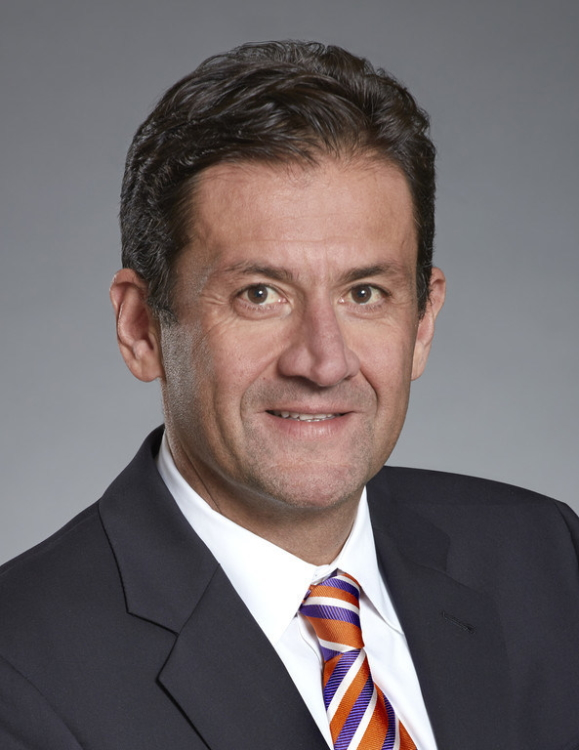 Daryoush Larizadeh has been named CEO of Leviton