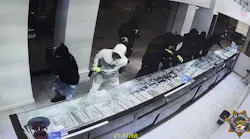 Nine suspects robbed Iceberg Diamonds at the Sun Valley Mall in Concord on Nov. 15, 2021, police said.