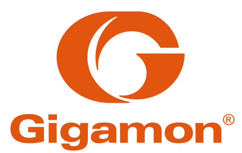 Gigamon Logo E1567588804574 62ab84f0c1cd3