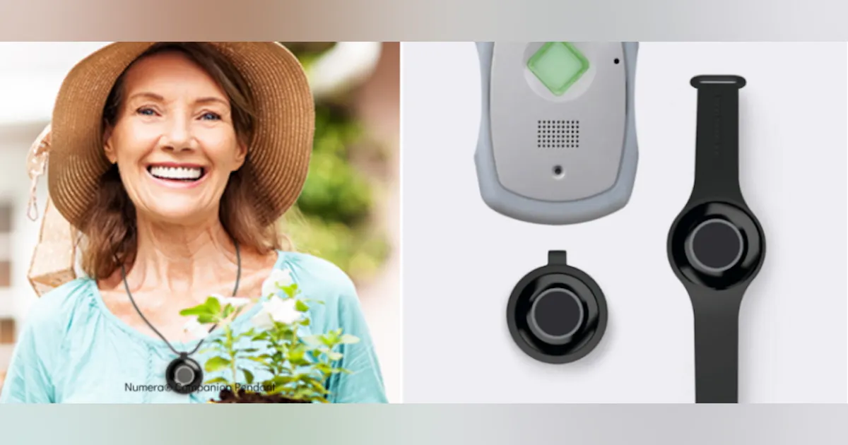 Numera Companion Pendant from Nice/Nortek Control | Security Info Watch
