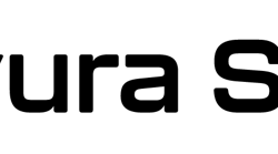 Bravura Security Logo Ai
