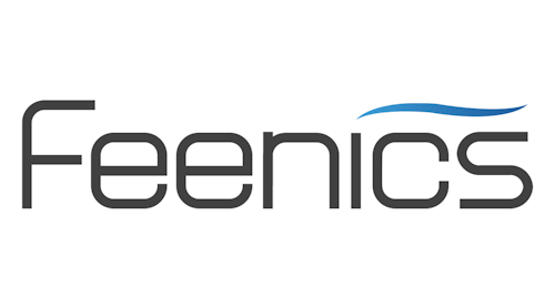 Feenics Corporate Logo 1200 X 400