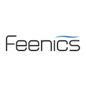Feenics Corporate Logo 1200 X 400