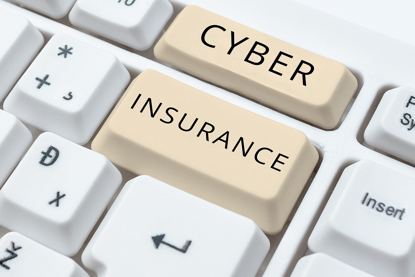 Bigstock Hand Writing Sign Cyber Insura 462912711 63444a6cb4f59