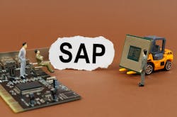 SAP systems need to be safeguarded to protect company information and processes by managing the access of internal and external entities.
