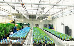 The life cycle of the cannabis industry’s products begins at cultivation/processing facilities. The life cycle of the cannabis industry’s products begins at cultivation/processing facilities.