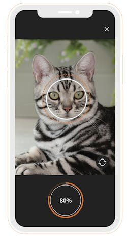 Facial recognition for cats? You better believe it...and no written legal consent required! Facial recognition for cats? You better believe it...and no written legal consent required!