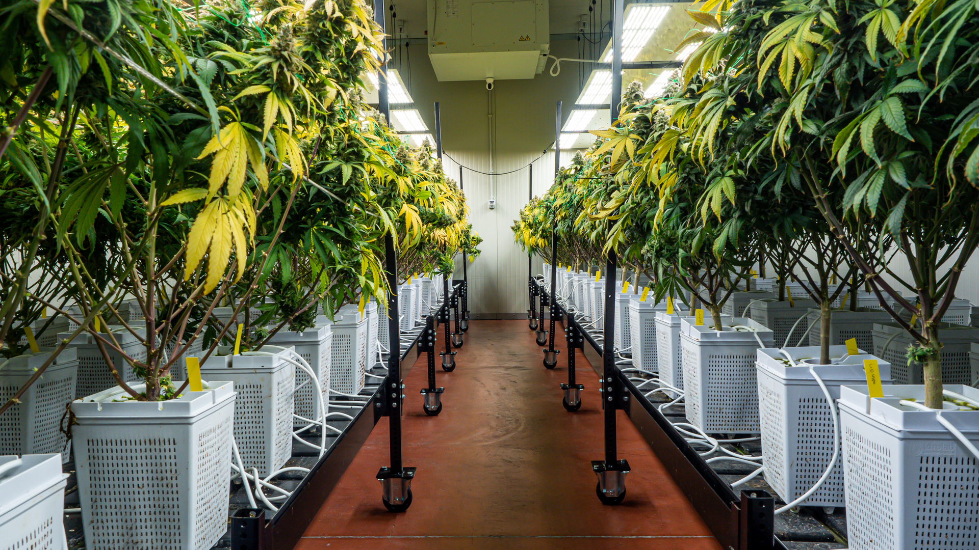 Getty Images 1441564756 63bd7e0872eb9