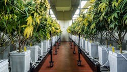 Getty Images 1441564756 63bd7e0872eb9 Getty Images 1441564756 63bd7e0872eb9