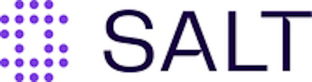 Salt Security V1 Logo