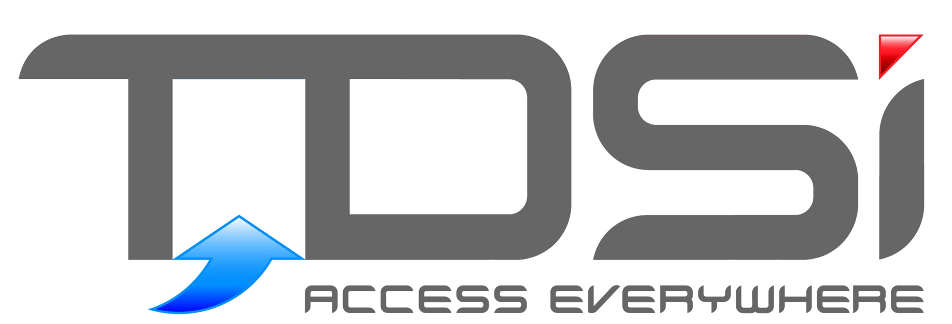 Td Si Logo