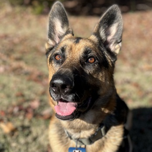 Kovu Cops Monitoring 63ff8ecbe8b4c