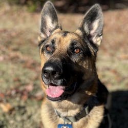 Kovu Cops Monitoring 63ff8ecbe8b4c Kovu Cops Monitoring 63ff8ecbe8b4c