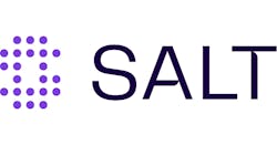 Salt Security Logo Salt Security Logo