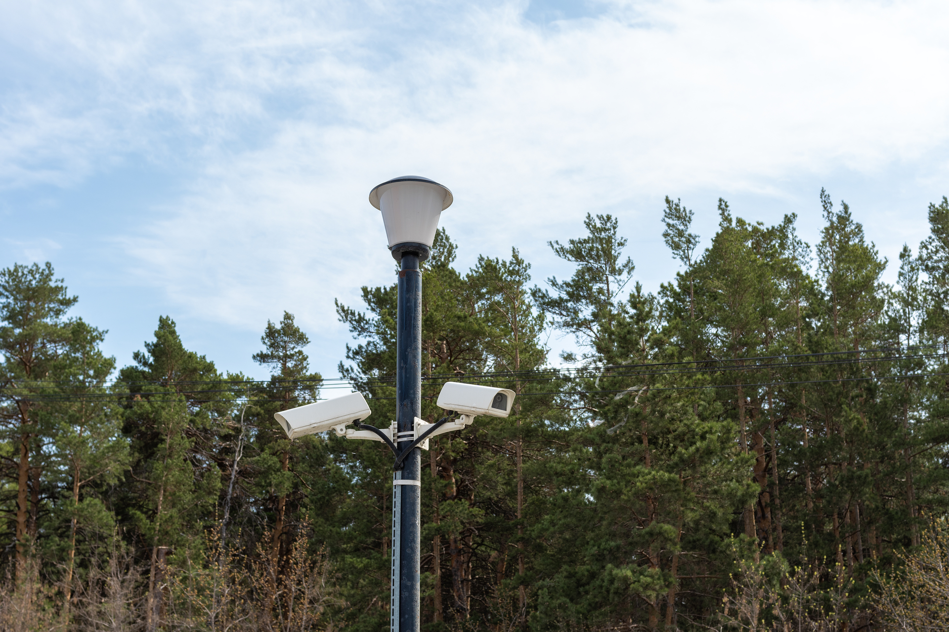 Surveillance cameras mounted on a lamppost at the side of a forest road.