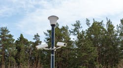 Surveillance cameras mounted on a lamppost at the side of a forest road.
