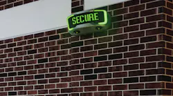 Rosa 3 0 On Building Wall Secure 1920x1080 1 1536x864