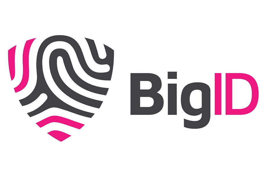 Big Id Logo