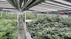 Based in Lapeer, Michigan, Highlands Grow provides consumable cannabis products to U.S.-based retailers.