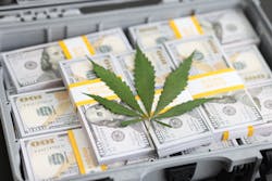 Bigstock Fresh Cannabis Leaf On Cash Mo 476297903