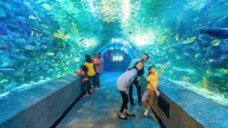 Newport Aquarium Pr Image 1 6531424b21959 Newport Aquarium Pr Image 1 6531424b21959