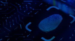 Bipa Image 651f0b9771b7d Bipa Image 651f0b9771b7d