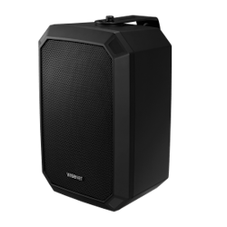 SPA-W100B Wall Speaker