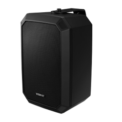 SPA-W100B Wall Speaker SPA-W100B Wall Speaker