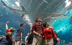 Thumbnail Newport Aquarium Pr Image 2 Thumbnail Newport Aquarium Pr Image 2