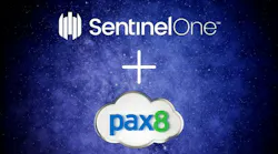 pax8