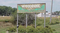 woodbinesigntown