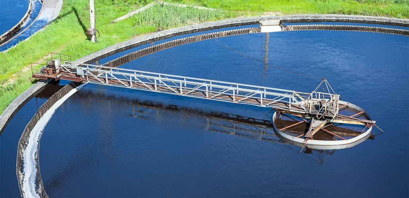 65affbb9680981001e0e44a6 R 2