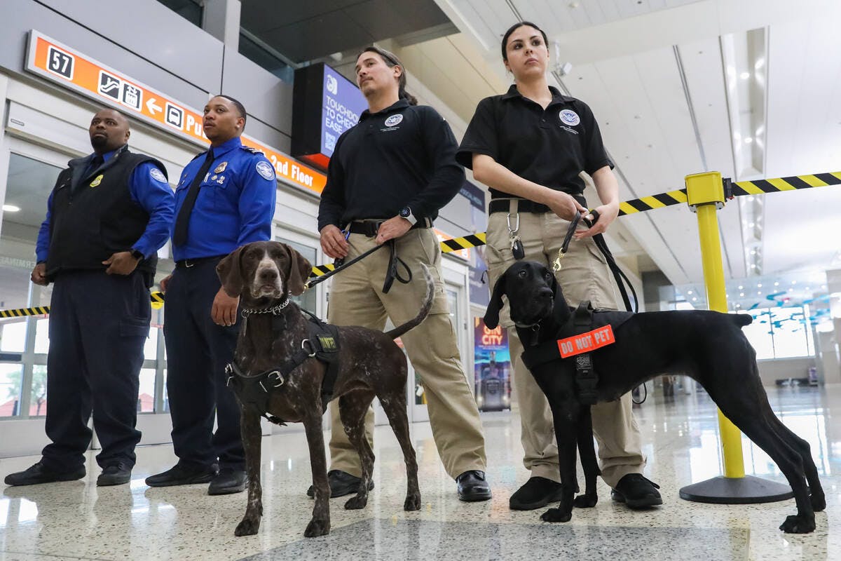 TSA canine handlers Vanessa G., right, with her dog Santi, and George J., alongside his dog Mercy, attend a Super Bowl LVIII safety press conference hosted by the Department of Homeland Security and U.S. Customs and Border Protection held at Harry Reid International Airport on Monday.