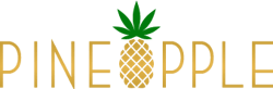 65d4c5bf97ab18001ebcbac6 Pineapplenoinclogo2 65d4c5bf97ab18001ebcbac6 Pineapplenoinclogo2