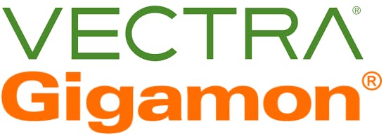 vectragigamon