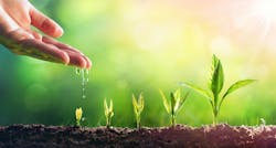 65f1d0265c8cbd001e6973a4 Gettyimages1126962479 65f1d0265c8cbd001e6973a4 Gettyimages1126962479