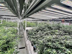 Grow and retail facilities benefit from a complete and comprehensive security assessment. Grow and retail facilities benefit from a complete and comprehensive security assessment.