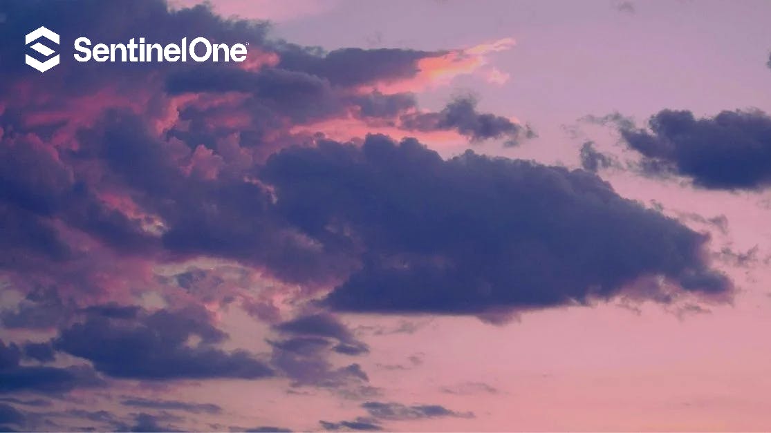 663bad030839411a61b639c2 Sentinelone