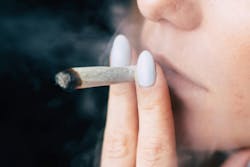 Even before this month’s proposal, efforts were underway to speed up the timeline for cannabis studies. The Medical Marijuana and Cannabidiol Research Expansion Act, signed by President Joe Biden in 2022, gave the attorney general 60 days to approve applications, provide reasons for denying them, or request more information, according to Smithsonian magazine. Even before this month’s proposal, efforts were underway to speed up the timeline for cannabis studies. The Medical Marijuana and Cannabidiol Research Expansion Act, signed by President Joe Biden in 2022, gave the attorney general 60 days to approve applications, provide reasons for denying them, or request more information, according to Smithsonian magazine.