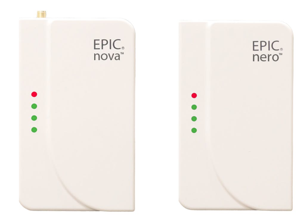 6656131f66834a330a5ef54a Nova And Nero Flyer1